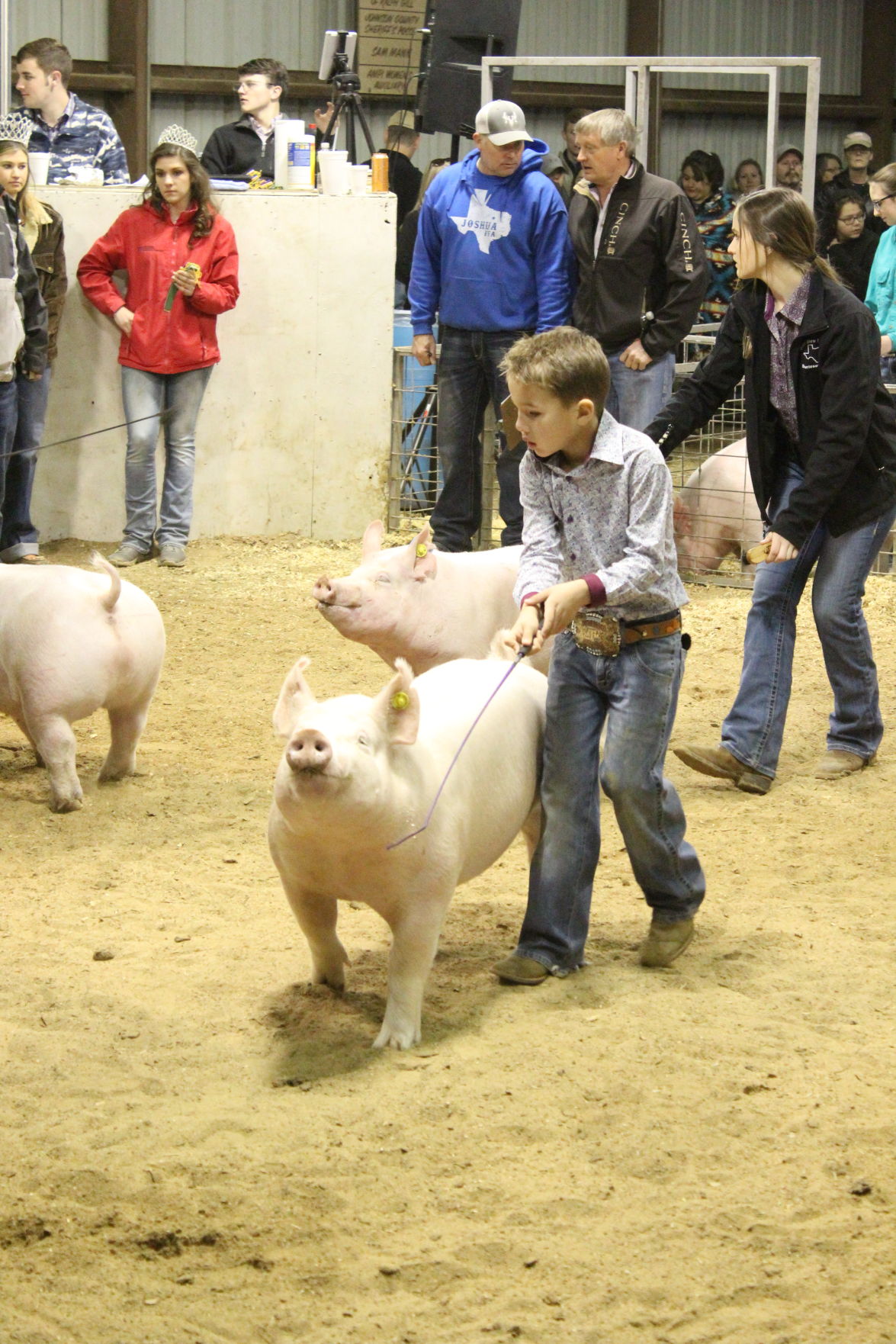 Brendan Gross livestock swine show